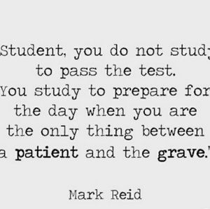 Meet your Posher, Amaya